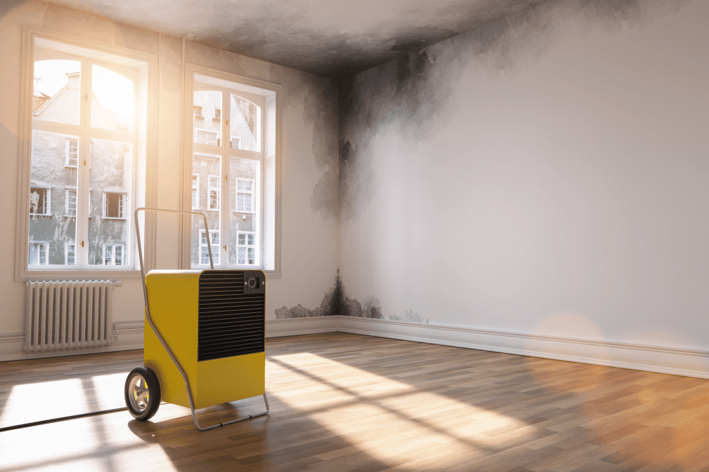 A mold remediation machine sitting inside of a well lit room, with wood floors, and white walls with a lot of mold on them.